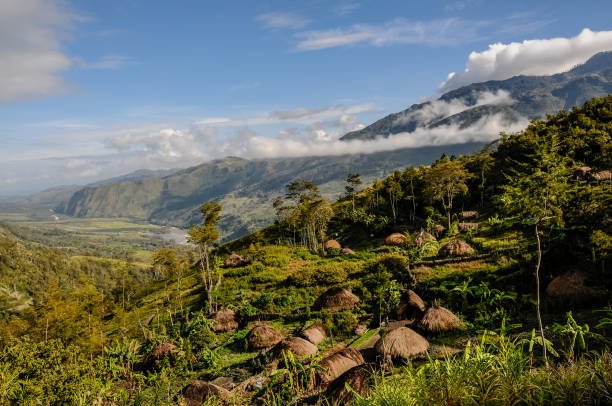 Alam Papua (Foto: Istock)